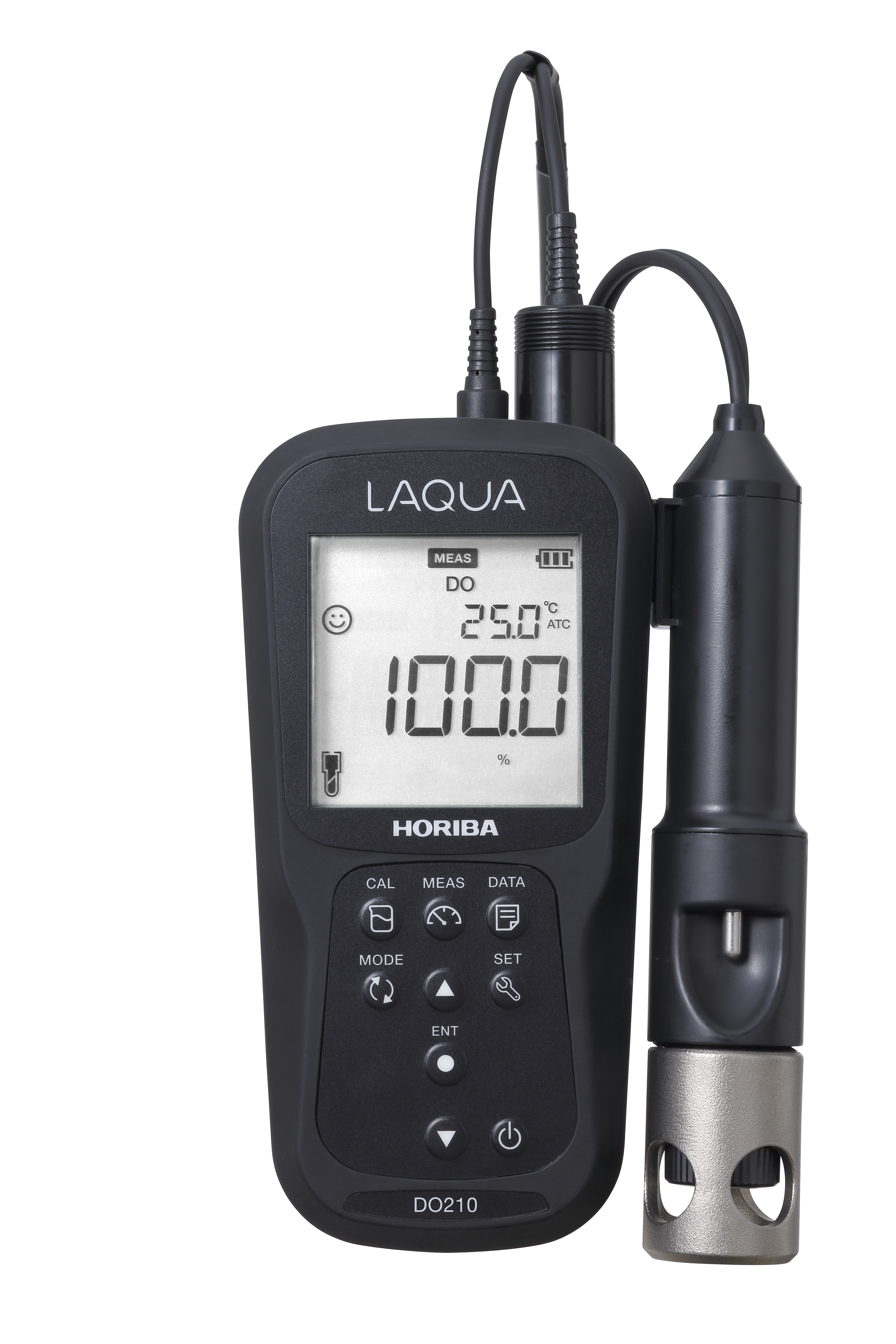 Horiba LAQUA DO210-Kit gelöster Sauerstoff und Temperatur Messgerät, tragbar im Messkoffer 
