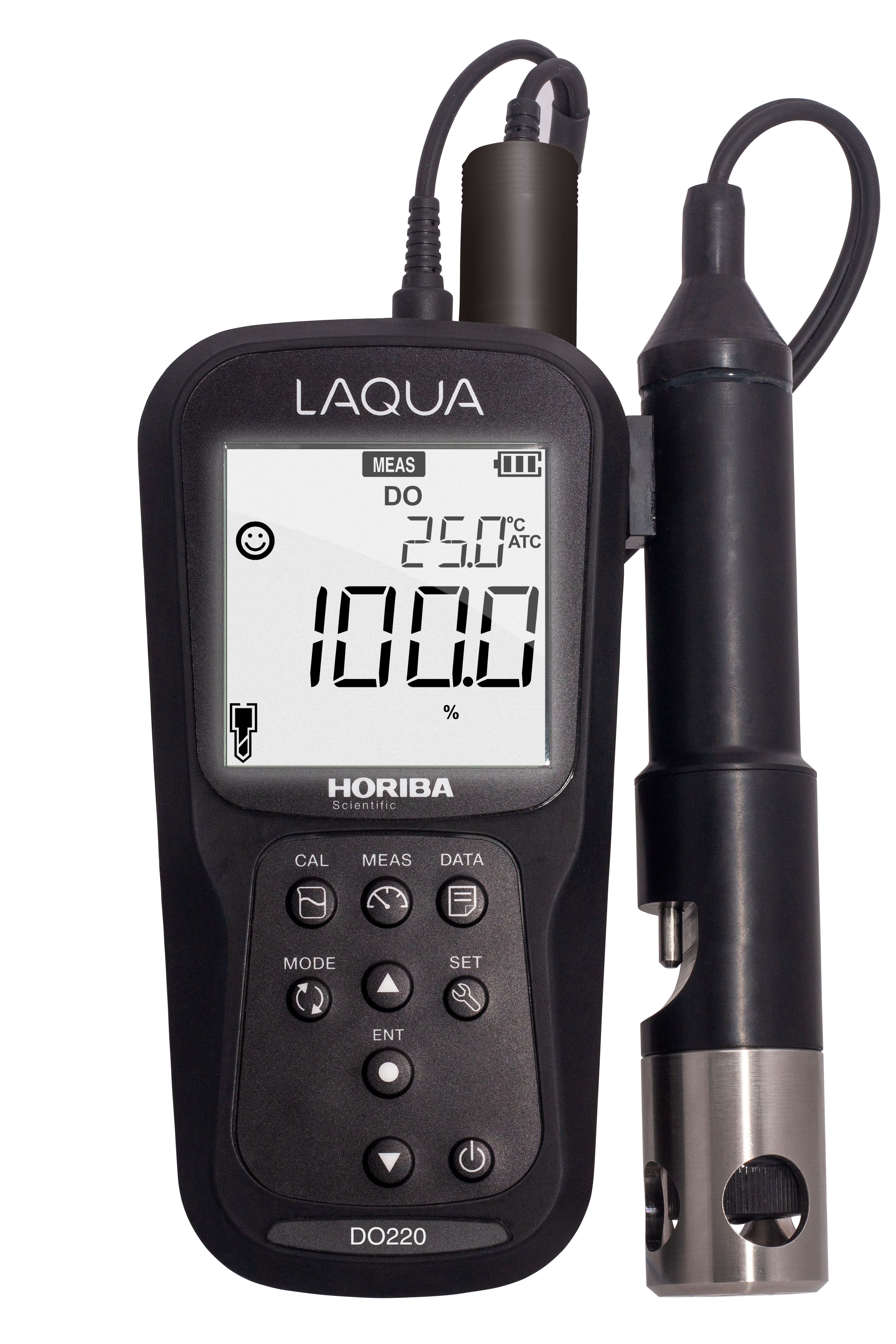 Horiba LAQUA DO220-Kit gelöster Sauerstoff und Temperatur Messgerät mit GLP Datenspeicherung, tragbar im Messkoffer 
